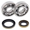 Kit roulements de vilebrequin et joints spi MOOSE 125 EC 2003 à 2011 / 125 MC 2003 à 2009