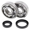 Kit roulements de vilebrequin et joints spi MOOSE 125 RM 1989 à 2008