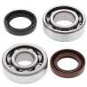 Kit roulements de vilebrequin et joints spi MOOSE 125 YZ 1974 à 1975 / 125 DT 1974 à 1981 / 175 IT