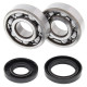 Kit roulements de vilebrequin et joints spi MOOSE 125 YZ 2001 à 2004