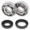Kit roulements de vilebrequin et joints spi MOOSE 125 YZ 2001 à 2004