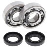 Kit roulements de vilebrequin et joints spi MOOSE 125 YZ 2005 à 2024 / 125 XX XE