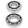 Kit roulements de vilebrequin et joints spi MOOSE 150 CRF F 2003 à 2005 / 230 CRF F 2003 à 2019