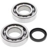 Kit roulements de vilebrequin et joints spi MOOSE 250 KXF 2004 à 2022 / 250 RMZ 2004 à 2006
