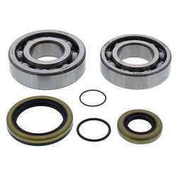 Kit roulements de vilebrequin et joints spi MOOSE 250 MR / 300 MR RIEJU 2021 à 2024