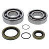 Kit roulements de vilebrequin et joints spi MOOSE 250 MR / 300 MR RIEJU 2021 à 2024