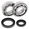 Kit roulements de vilebrequin et joints spi MOOSE 250 RM 1986 à 1988