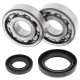 Kit roulements de vilebrequin et joints spi MOOSE 250 RM 1989 à 1993