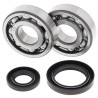 Kit roulements de vilebrequin et joints spi MOOSE 250 RM 1989 à 1993