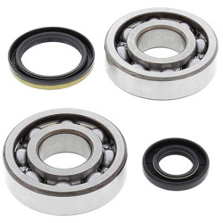Kit roulements de vilebrequin et joints spi MOOSE 250 RM 1994 à 1995