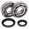 Kit roulements de vilebrequin et joints spi MOOSE 250 RM 1996 à 2002
