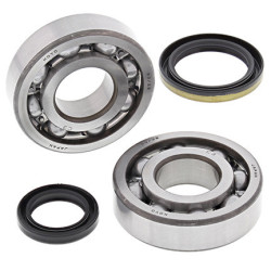 Kit roulements de vilebrequin et joints spi MOOSE 250 RMX 1995 à 1999