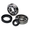 Kit roulements de vilebrequin et joints spi MOOSE 250 YZ 2001 à 2024 / 250 XX