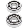 Kit roulements de vilebrequin et joints spi MOOSE 50 CRF / 70 CRF