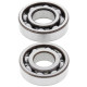 Kit roulements de vilebrequin et joints spi MOOSE 600 XT 1976 à 1982 / 600 TT / 500 SR