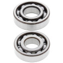 Kit roulements de vilebrequin et joints spi MOOSE 600 XT 1976 à 1982 / 600 TT / 500 SR