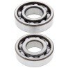 Kit roulements de vilebrequin et joints spi MOOSE 600 XT 1976 à 1982 / 600 TT / 500 SR