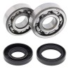 Kit roulements de vilebrequin et joints spi MOOSE 80 YZ 1993 à 2001 / 85 YZ 2002 à 2018