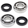 Kit roulements de vilebrequin et joints spi MOOSE KFX 80 03-06, Suzuki LT-80 87-06