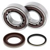 Kit roulements de vilebrequin et joints spi MOOSE KTM 250 SXF 2005 à 2012 / 250 EXCF 2006 à 2012