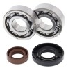 Kit roulements de vilebrequin et joints spi MOOSE KTM SX 50 2002 à 2008