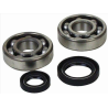 Kit roulements de vilebrequin et joints spi MOOSE YFZ 350 Banshee 87-09