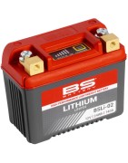 Lithium-Ion