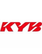 SAV FOURCHE KAYABA