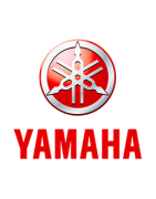 80 85 YZ